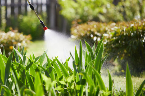 Tamper-Resistant Bait Stations for Rodents in Purdy