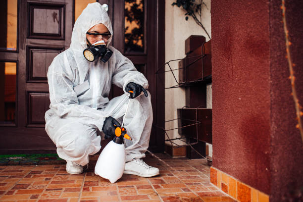 Attic and Crawl Space Rodent Treatment in Purdy