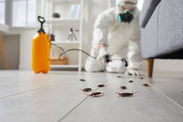Commercial Rodent Management in Purdy